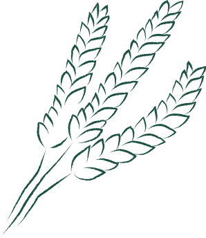 grains