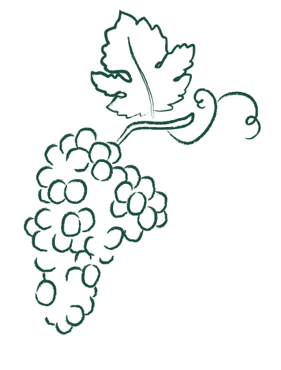 grapes